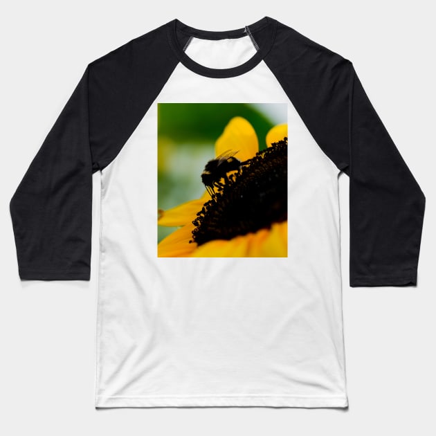 Bee silhouette Baseball T-Shirt by mbangert